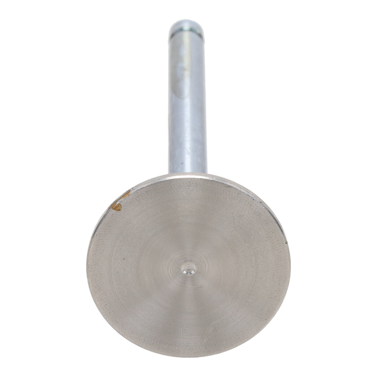 Exhaust Valve