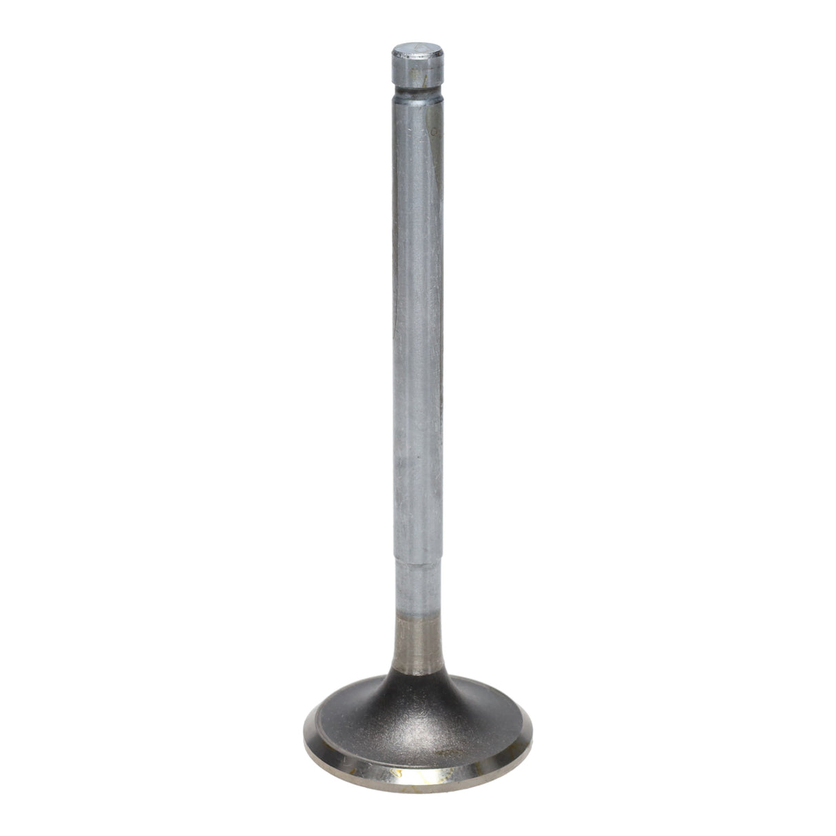 Exhaust Valve