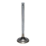 Exhaust Valve