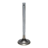 Exhaust Valve