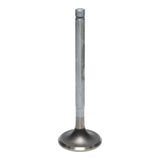 Exhaust Valve