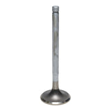 Exhaust Valve