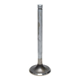 Exhaust Valve
