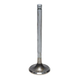 Exhaust Valve