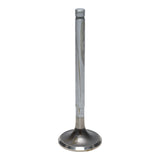 Exhaust Valve