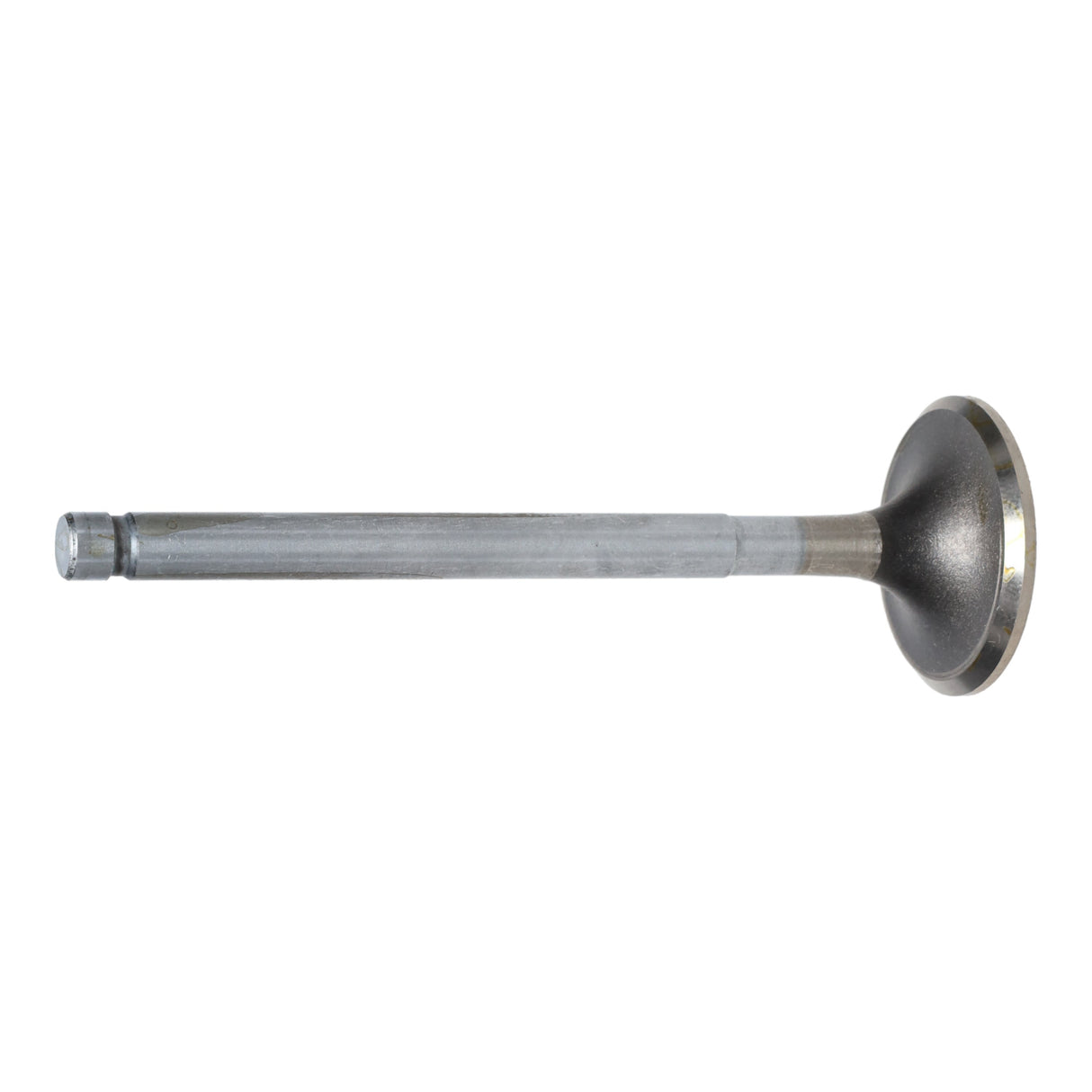 Exhaust Valve