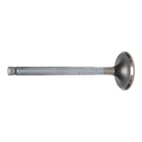 Exhaust Valve