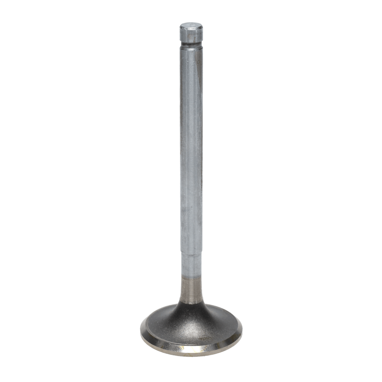 Exhaust Valve