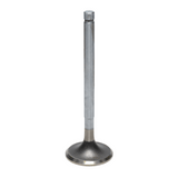 Exhaust Valve