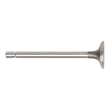 Exhaust Valve