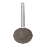 Exhaust Valve