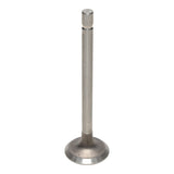 Exhaust Valve
