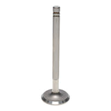 Intake & Exhaust Valve