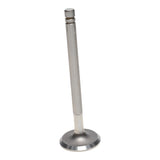 Intake & Exhaust Valve