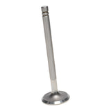 Intake & Exhaust Valve