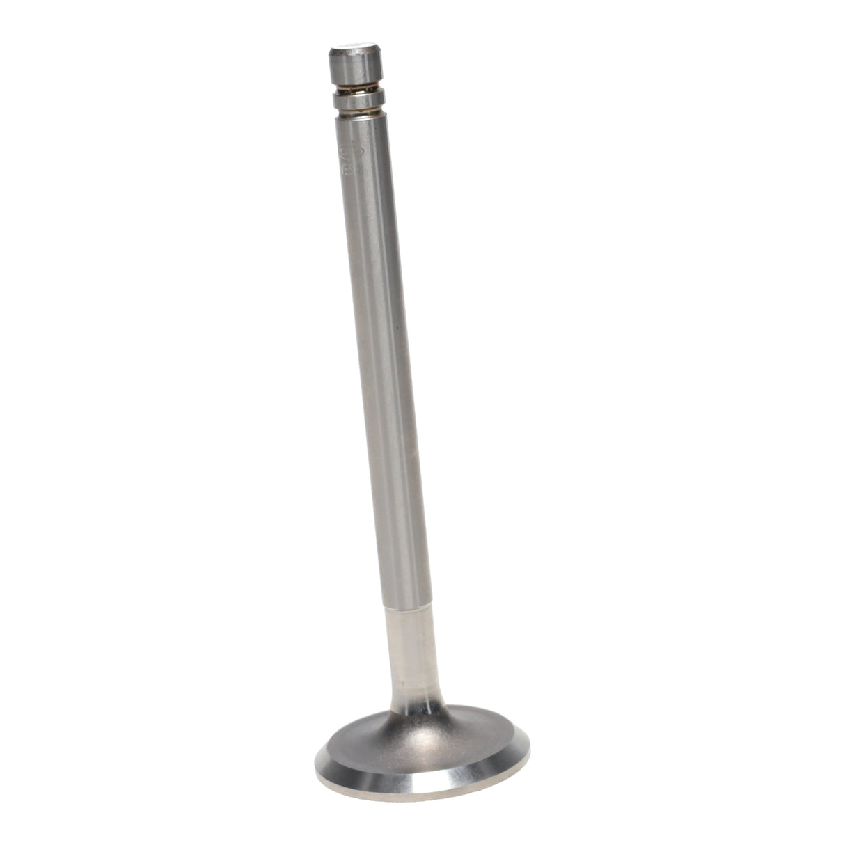 Intake & Exhaust Valve