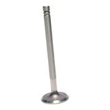 Intake & Exhaust Valve