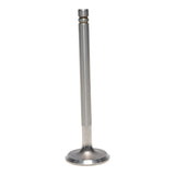 Intake & Exhaust Valve