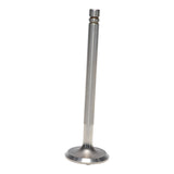 Intake & Exhaust Valve