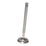 Intake & Exhaust Valve