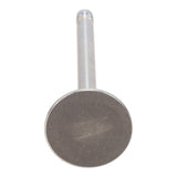 Intake & Exhaust Valve