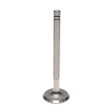 Intake & Exhaust Valve