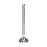 Exhaust Valve