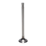 Exhaust Valve