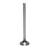 Exhaust Valve
