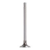 Exhaust Valve