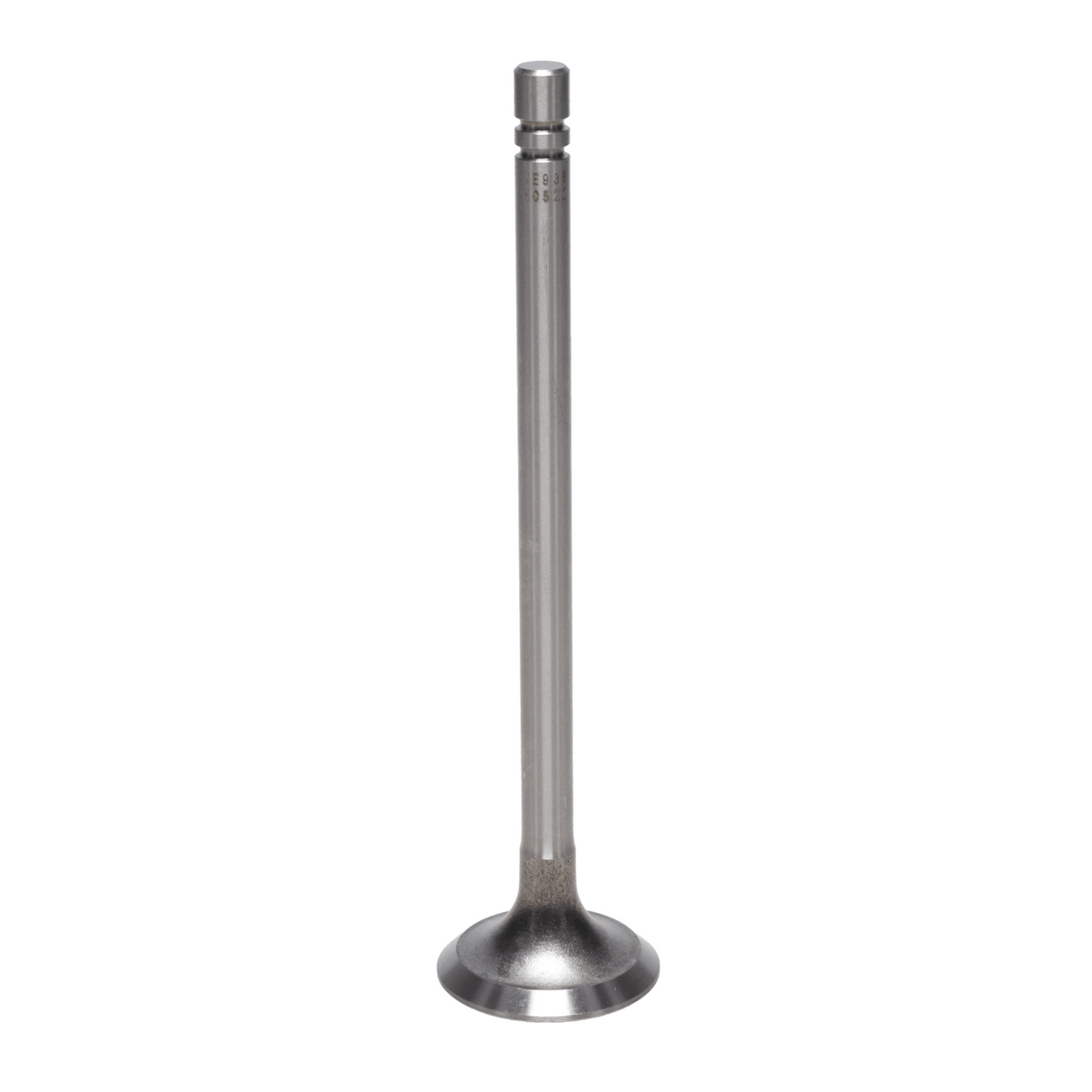 Exhaust Valve