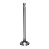 Exhaust Valve
