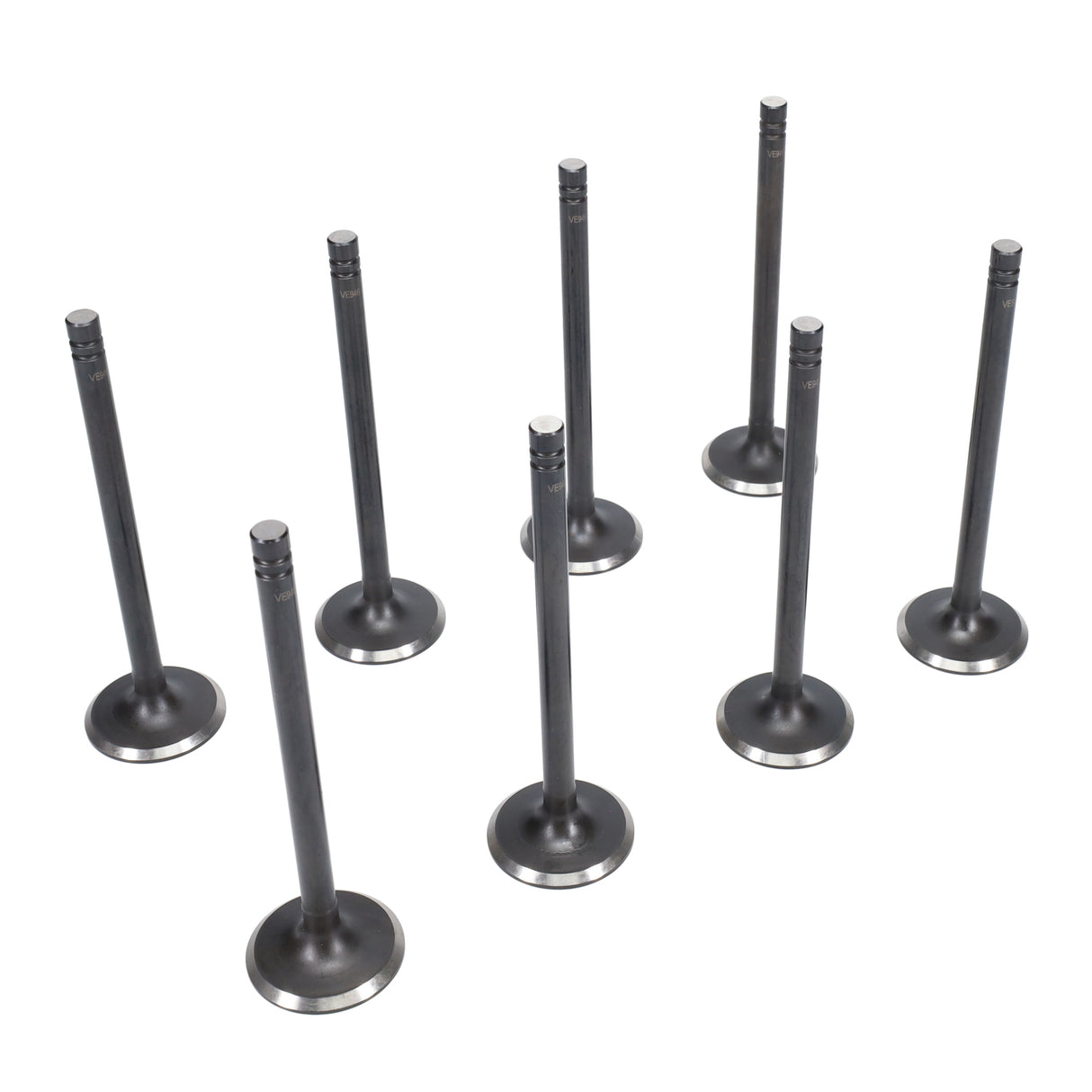 Exhaust Valve