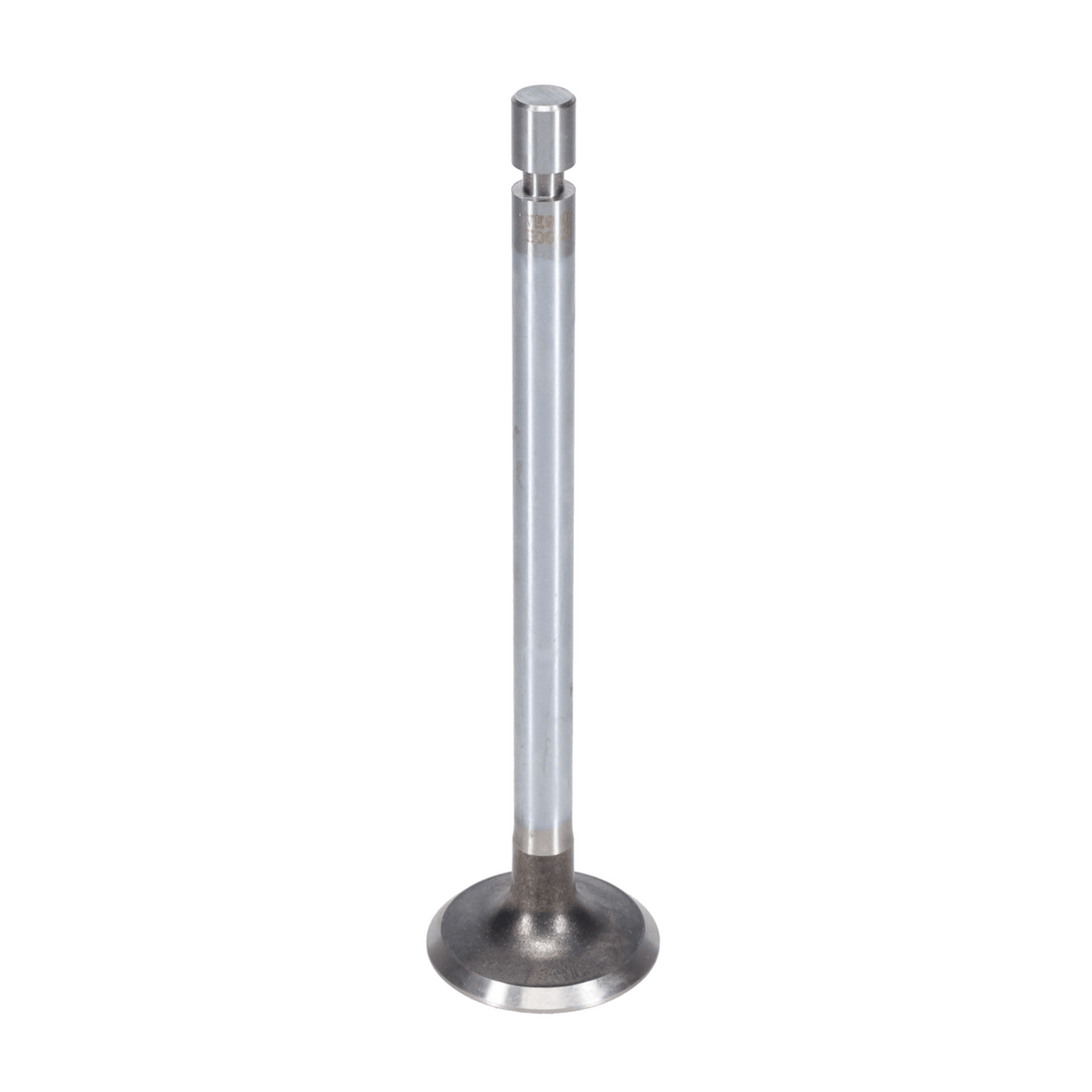 Exhaust Valve