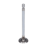 Exhaust Valve