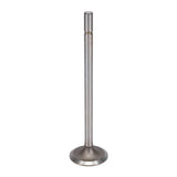 Intake Valve