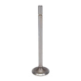 Intake Valve