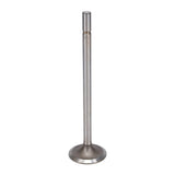 Intake Valve