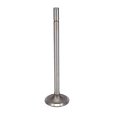 Intake Valve