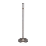Intake Valve