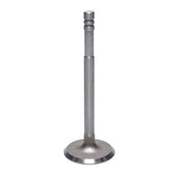 Intake Valve