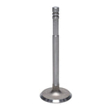 Intake Valve