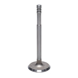 Intake Valve