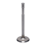 Intake Valve
