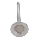 Intake Valve