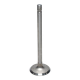 Intake Valve