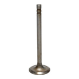 Intake Valve