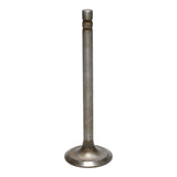 Intake Valve