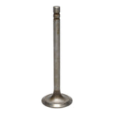 Intake Valve