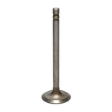 Intake Valve